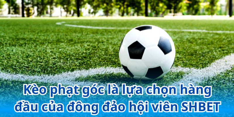 Kèo phạt góc là lựa chọn hàng đầu của đông đảo hội viên SHBET